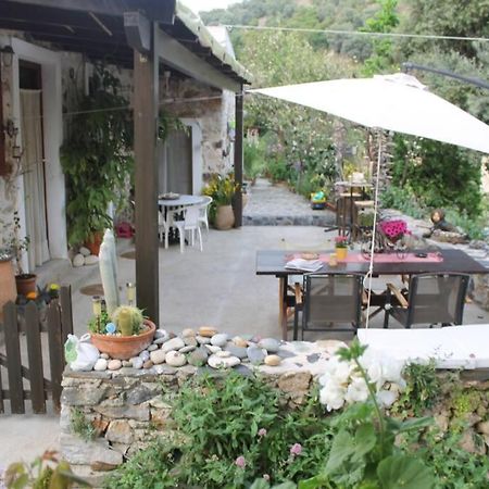 Olga'S Traditional Stone House, Palaiochora Kondokinigi Exterior foto
