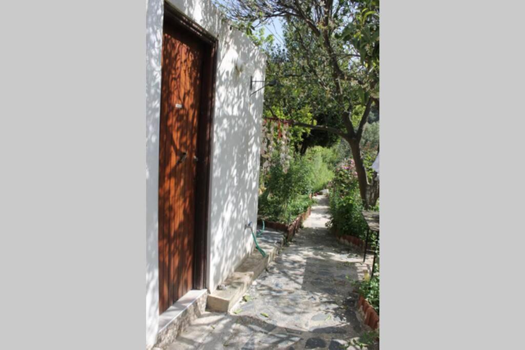 Olga'S Traditional Stone House, Palaiochora Kondokinigi Exterior foto